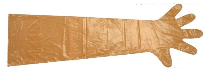 Einmalhandschuhe 100 Stück