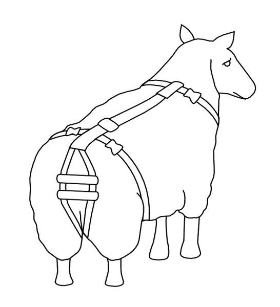 Vorfallbandage für Schafe