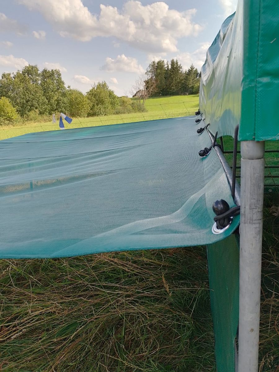 Anbringung des Sonnensegels mitttels Planenspanner am Weideunterstand