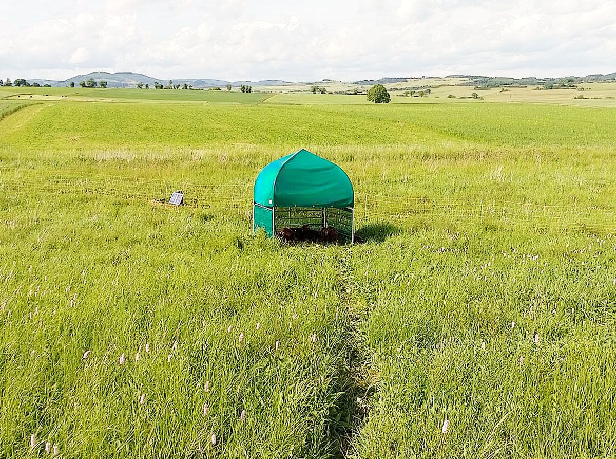 Anwendungsbeispiel auf Steckfix-Horde als "Schatteninsel"