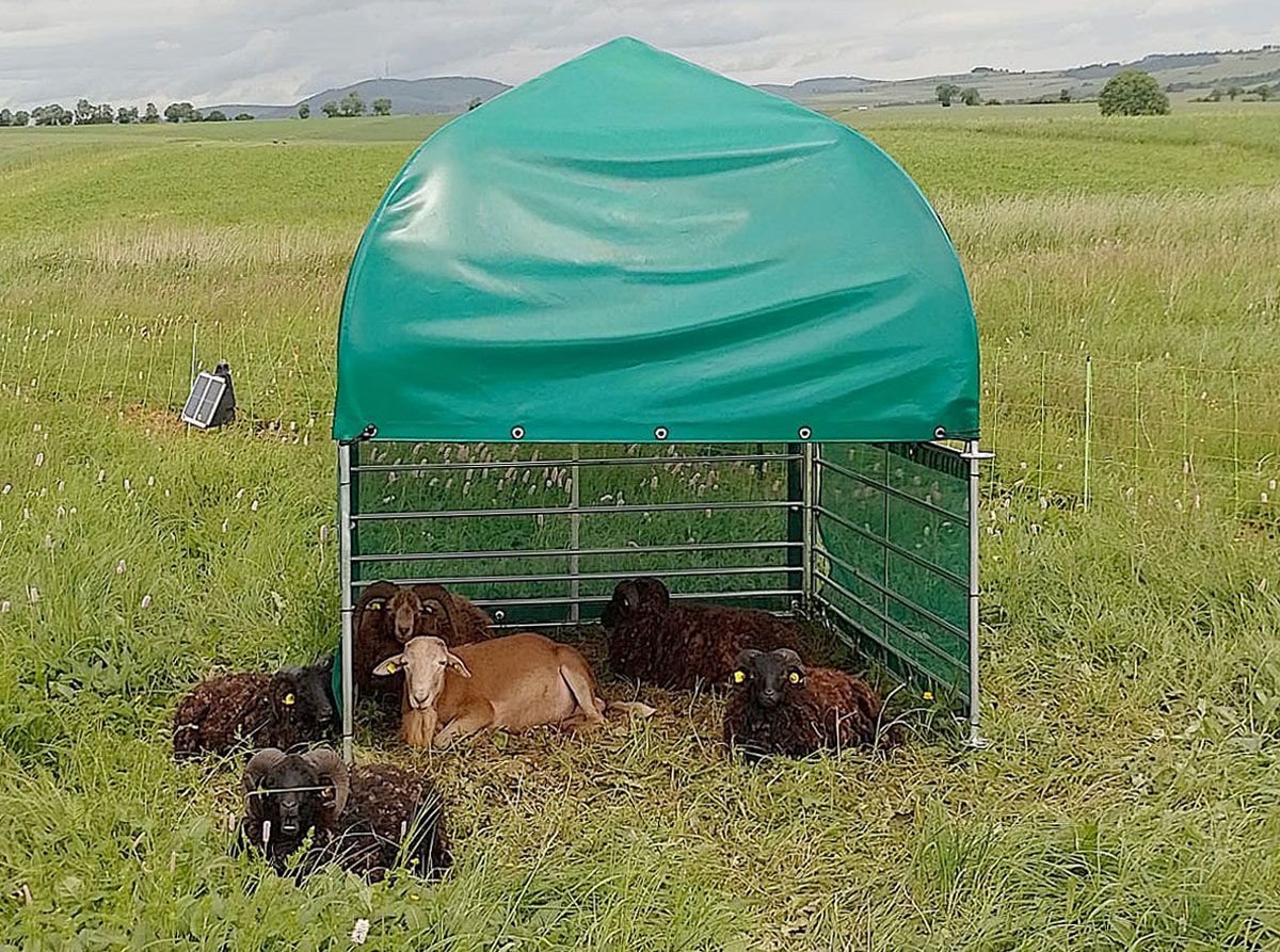Anwendungsbeispiel auf Steckfixhorden mit Windschutznetzen