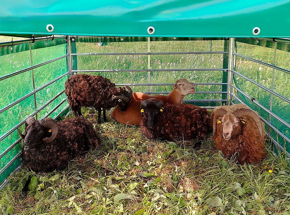 Anwendungsbeispiel mit Dach und Windschutznetzen (bitte zusätzlich bestellen)