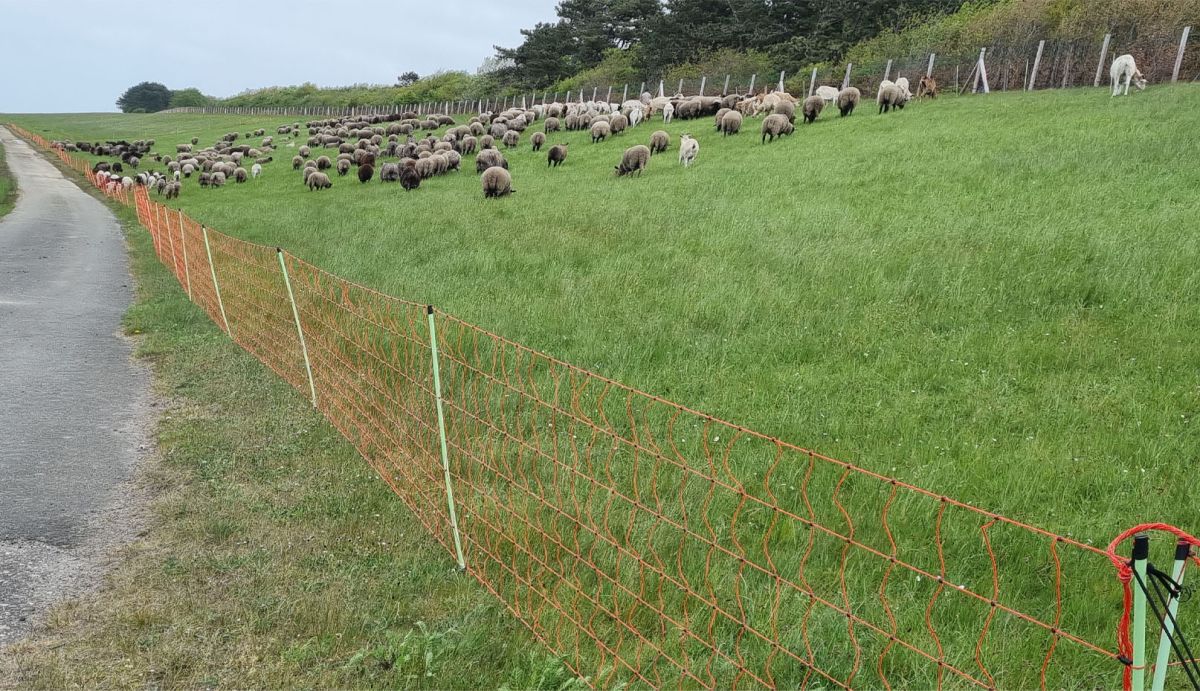 EURO-Netz 90 / 2 Jumbo