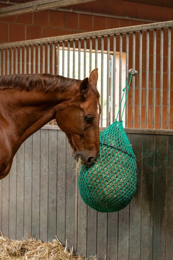 Heunetz mit Ring grün hängend in der Box