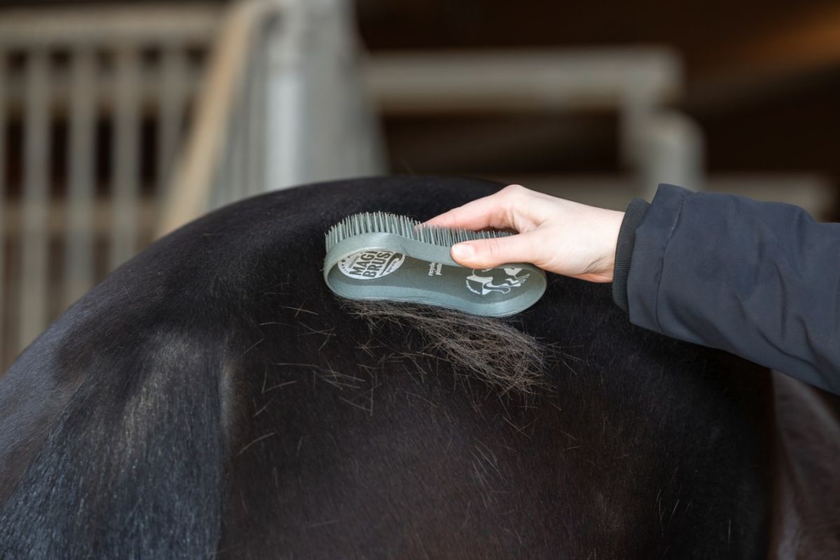 MagicBrush im Einsatz