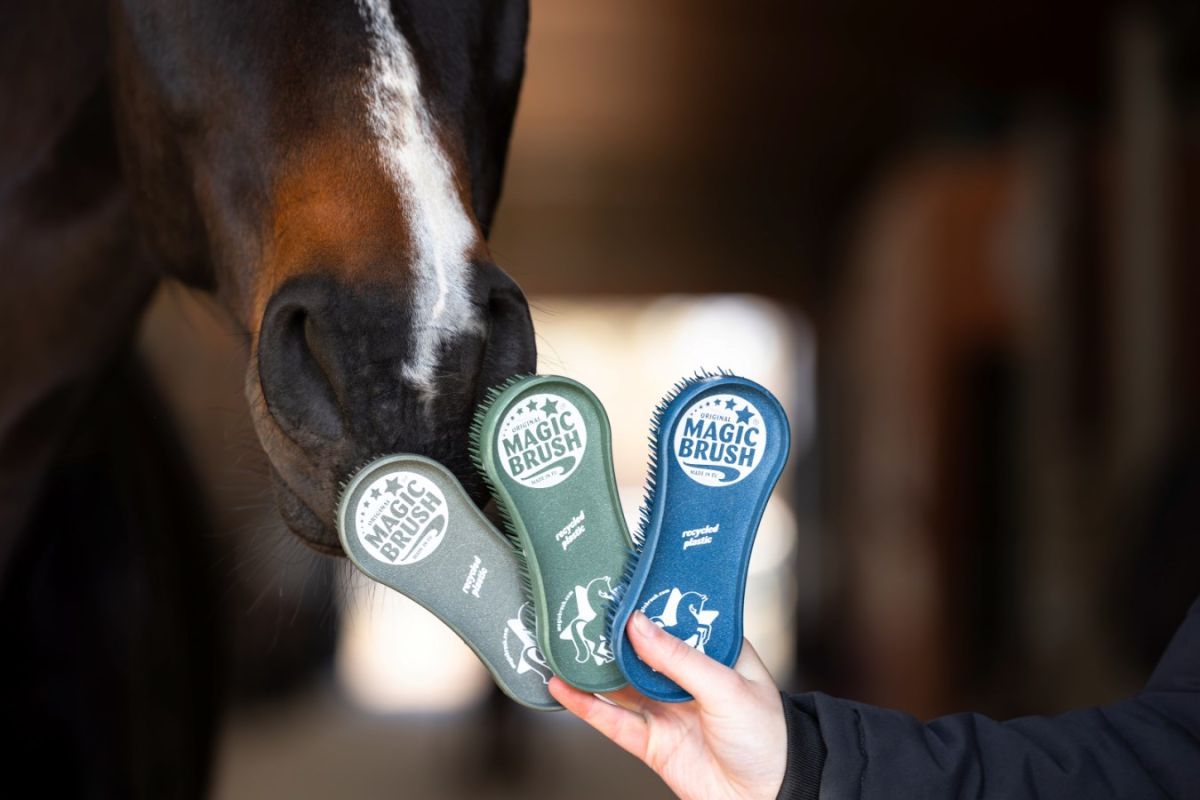 MagicBrush in 3 Farben für die Pflege Ihrer Pferde
