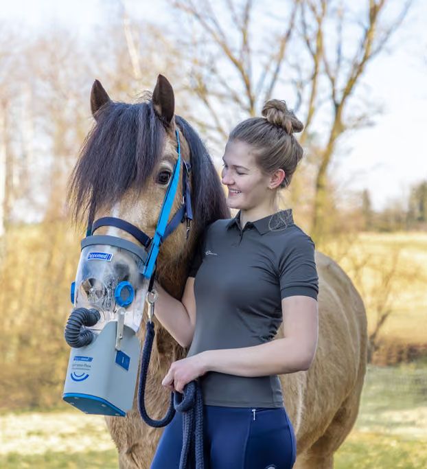 Pony mit Inhalationsmaske und angeschlossenem Inhalationsschlauch im Stall