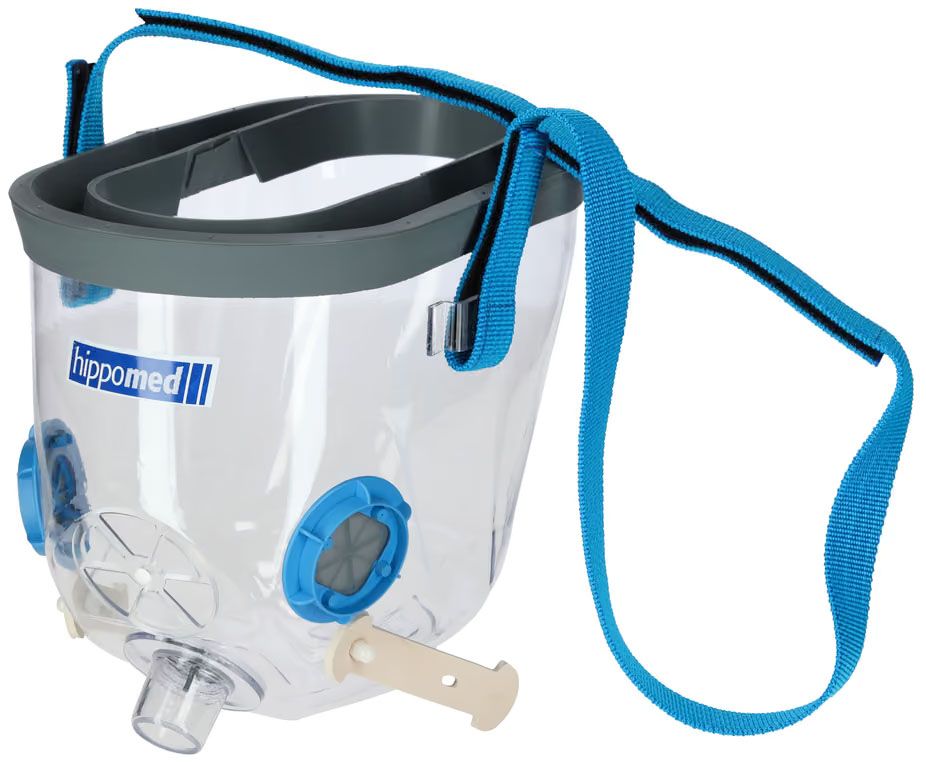 Transparente Inhalationsmaske für Kaltblüter mit blauen Befestigungsriemen