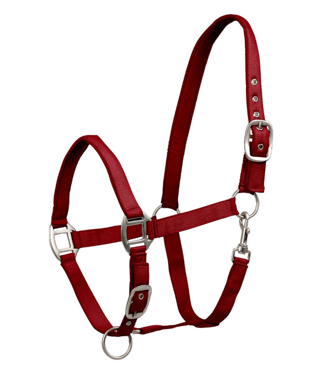 Warmbluthalfter bordaux