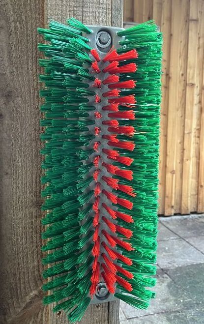 Wellness Kratzbürste