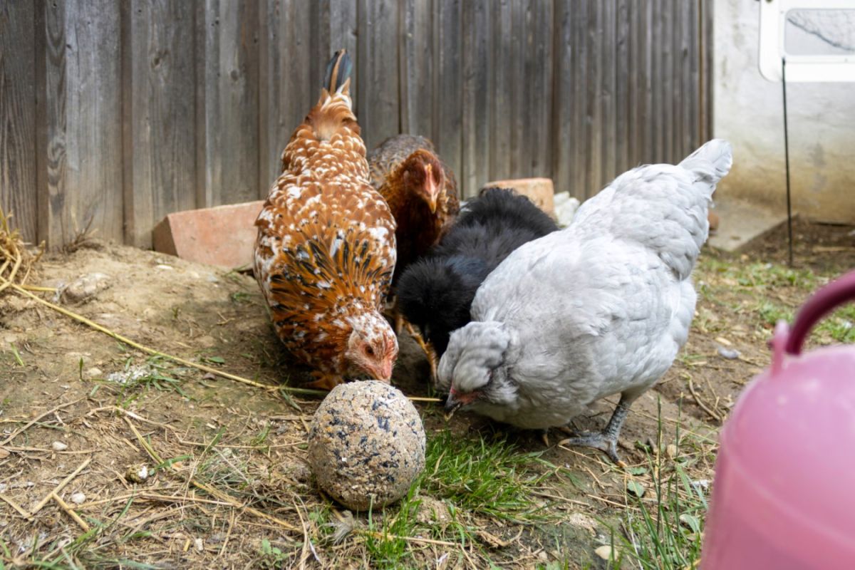 Zur spielerischen Beschäftigung