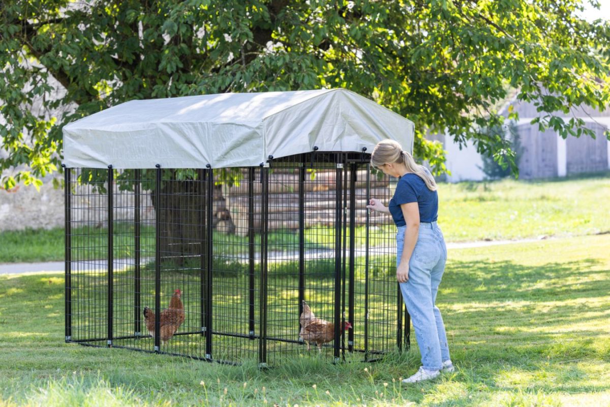 Freigehege Space mit Dachplane im Einsatz