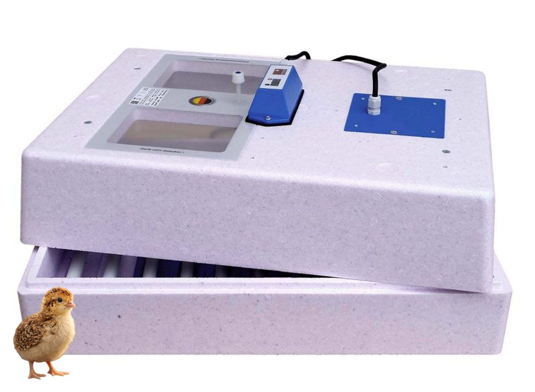 Brutmaschine 3000 für Wachteln