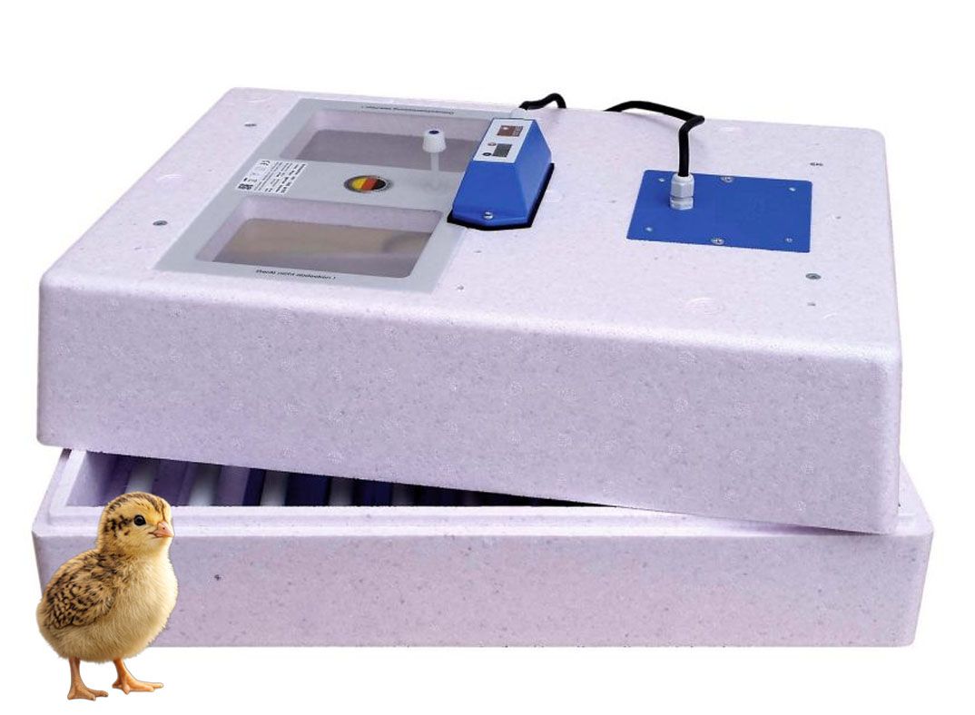 Brutmaschine 3000 / Zwerghühner und Fasane