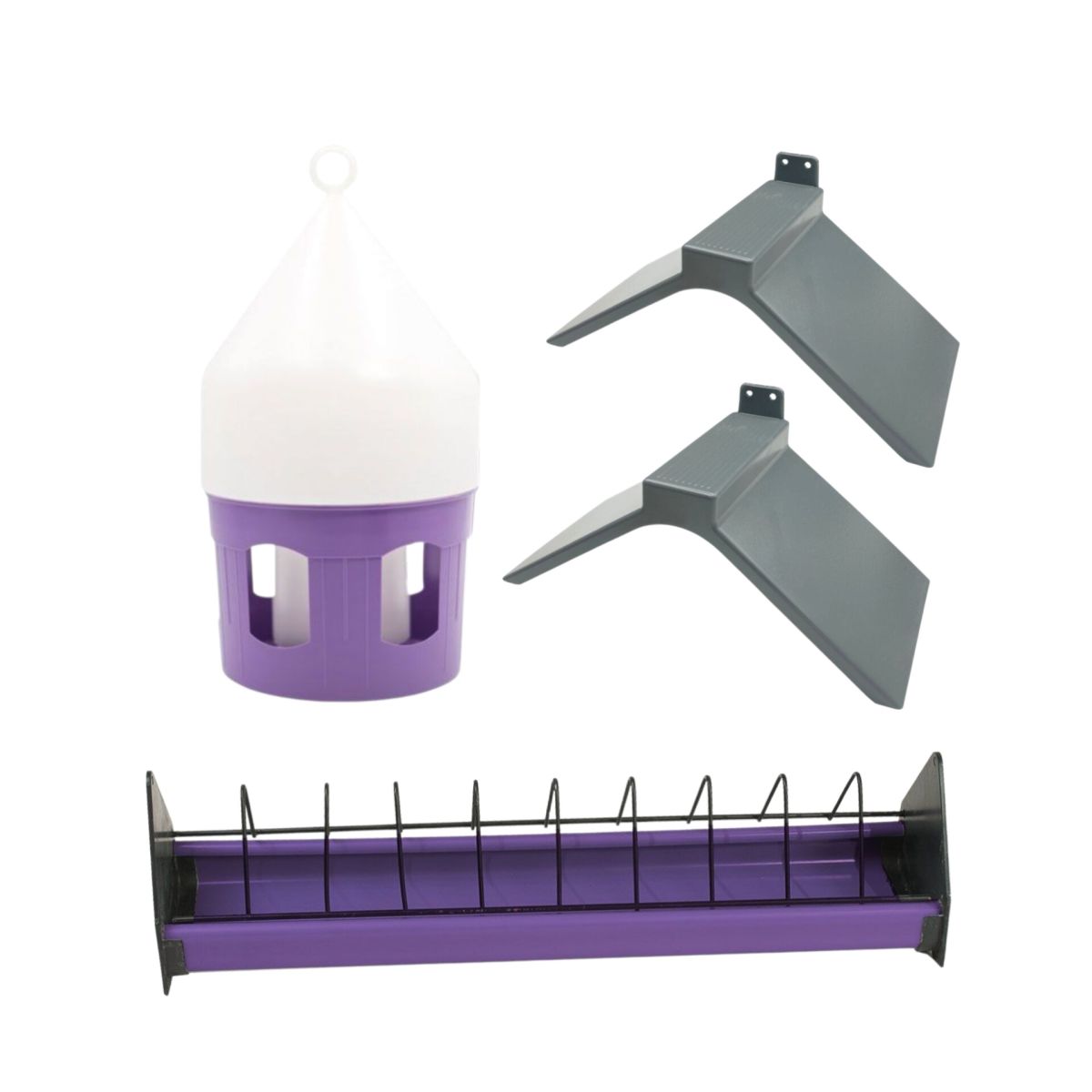 Tauben Starter-Set