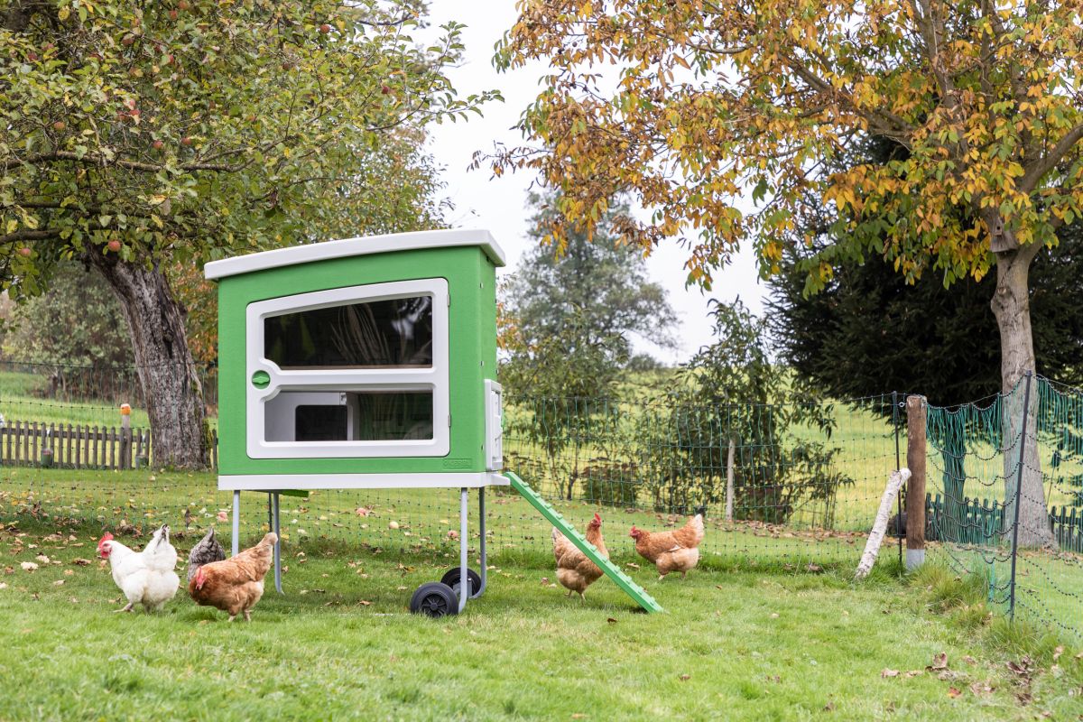 Mobile Coop Kunststoff von Kerbl