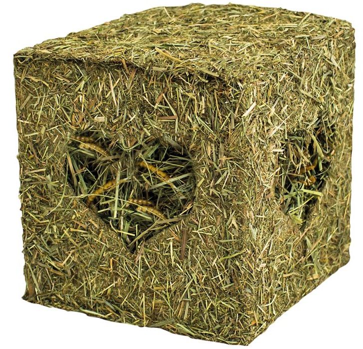 Heu-Würfel mit Mehlwürmern