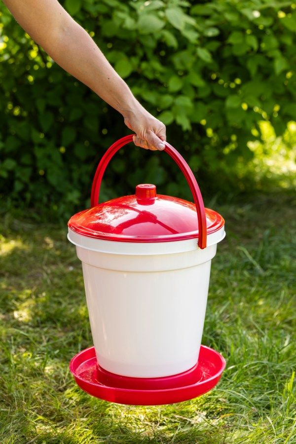 Geflügeltränkeeimer mit Henkel - ideal zum Tragen
