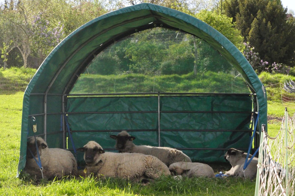 Weidezelt Protection+