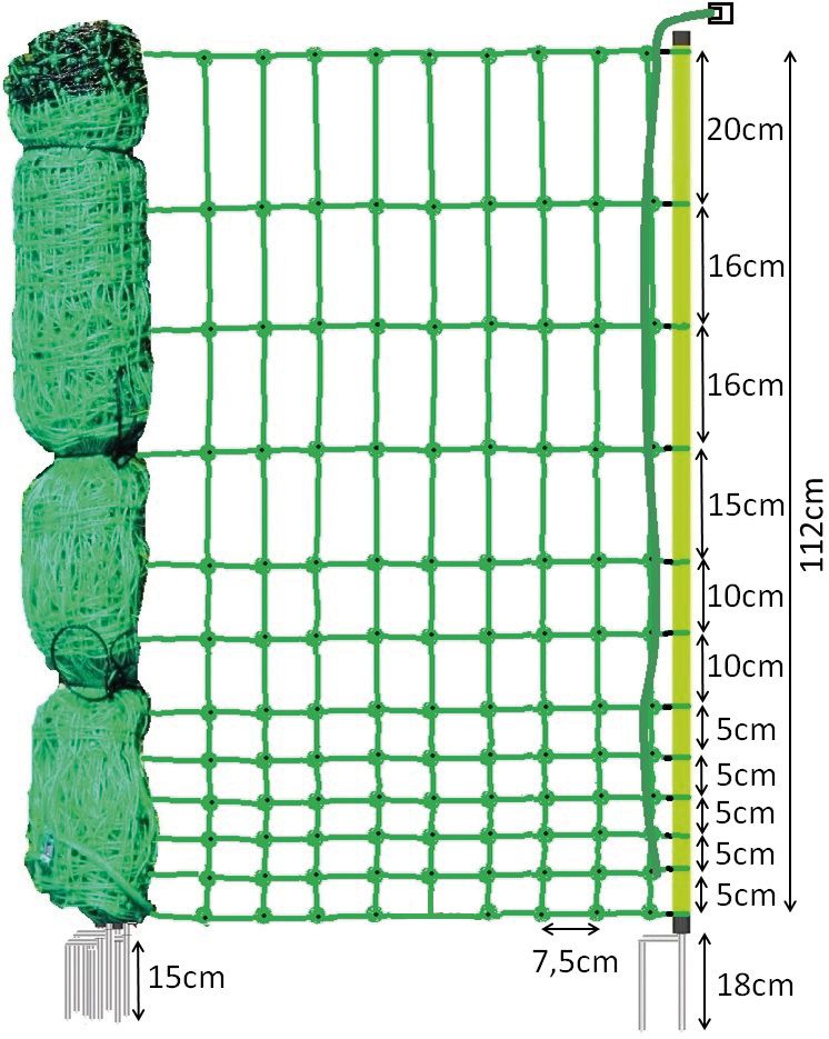 Zeichnung Litzenabstände Euro-Netz Geflügel 112 / 2 grün