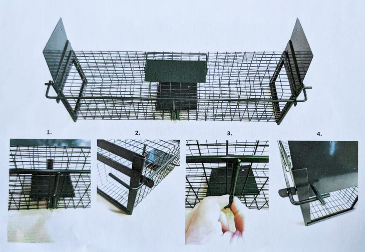 Durchlauffalle für Ratten und Wiesel