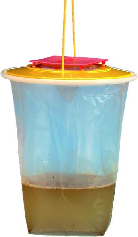 REDTOP® Fliegenfalle XL frisch befüllt