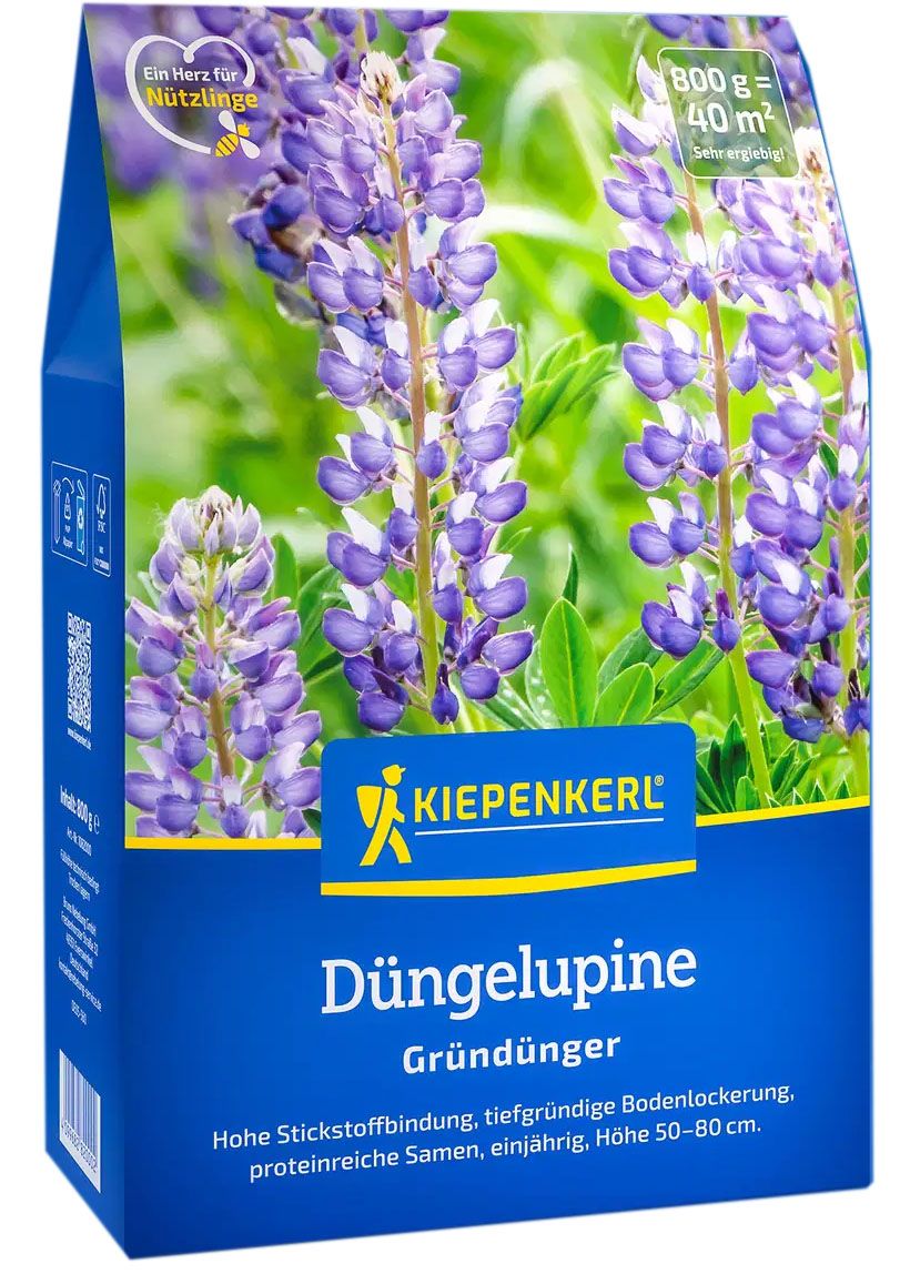 Düngelupinen "Gründüngung"