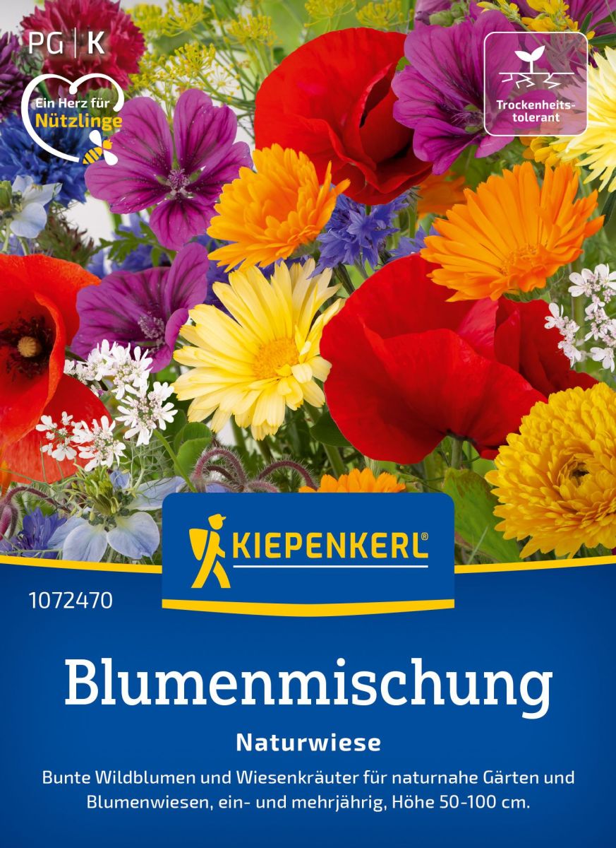 Blumensamen-Mischung-Naturwiese
