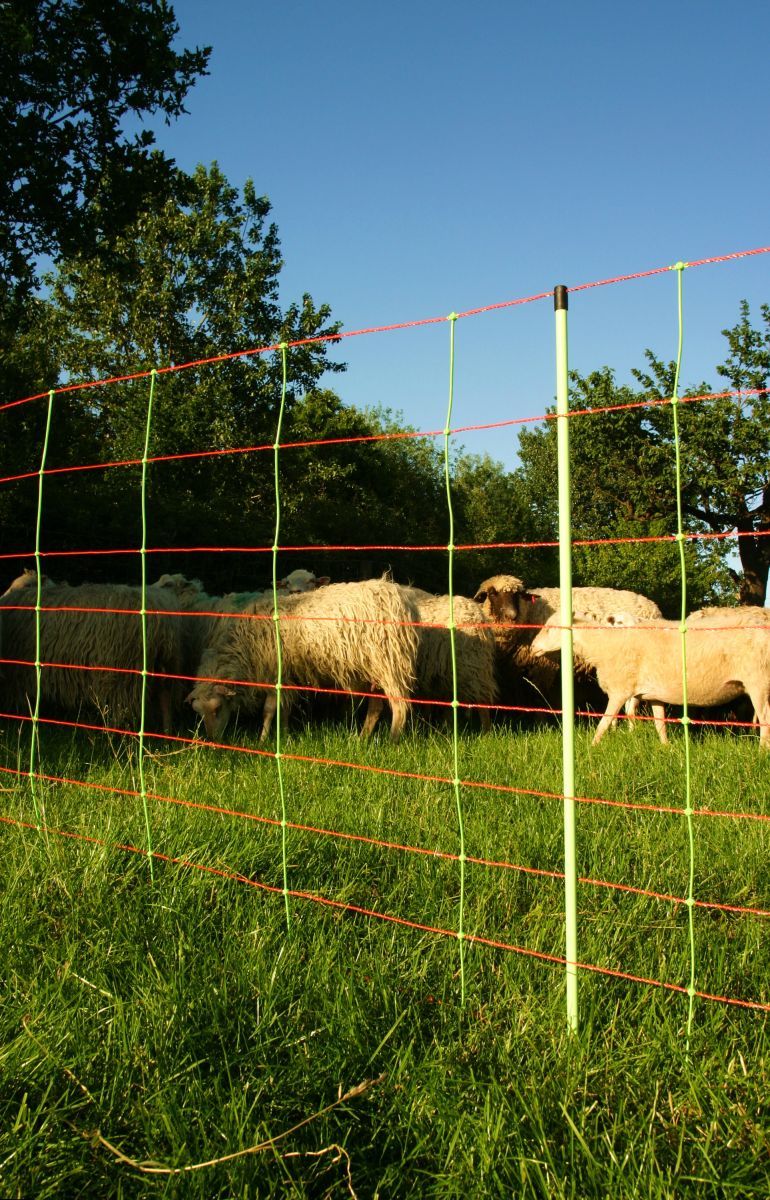 Euro-Netz Kombi 106/2 im Einsatz