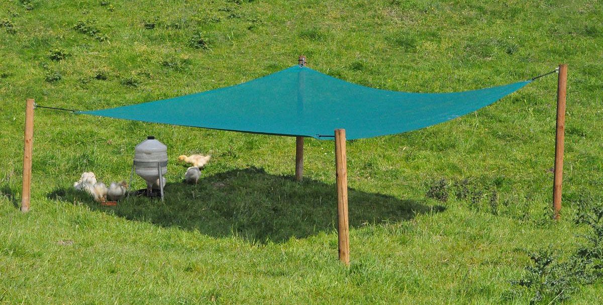 Sonnensegel 3 x 3 Meter als Schutz für Gänseküken
