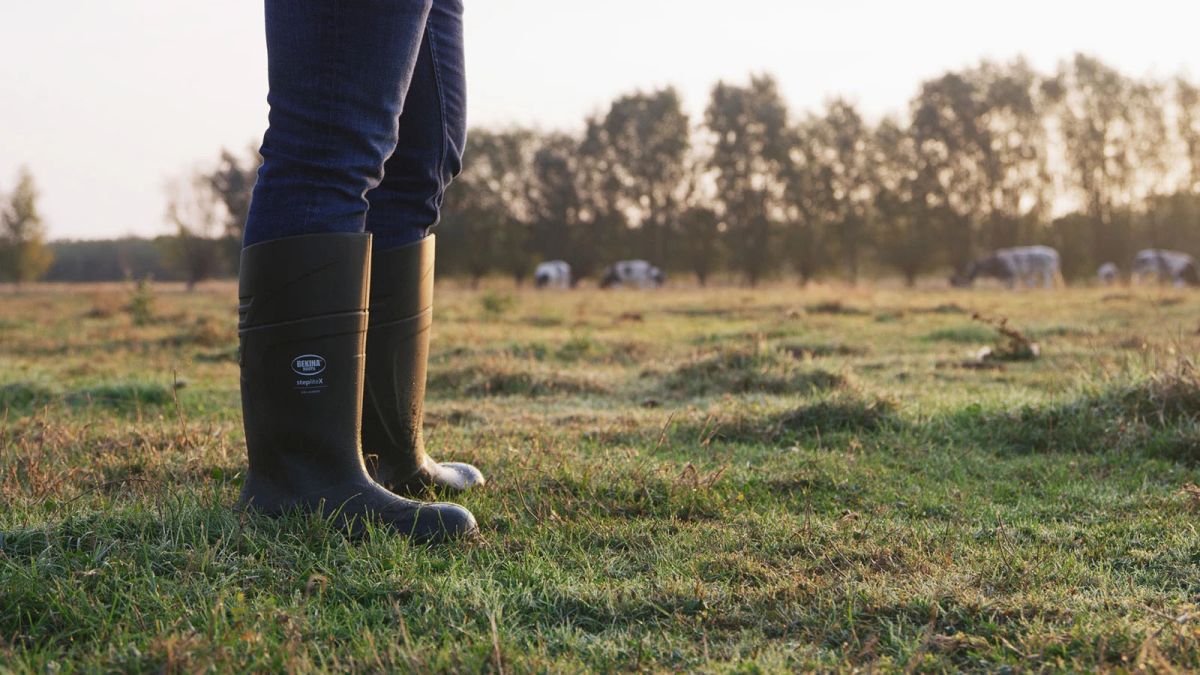 Bekina Sicherheitsstiefel S 5