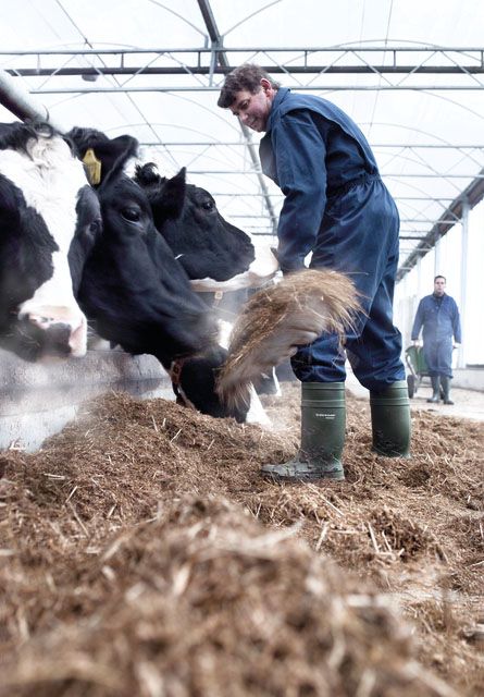 Dunlop® Purofort® Thermo+