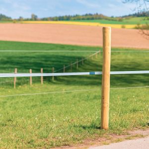 robinienpfahl-200-cm.jpg