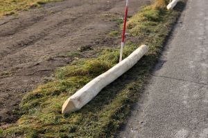 robinienpfahl-250-cm-7.jpg