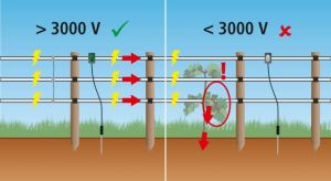 blitzlicht-ako-puls-flash--1.jpg