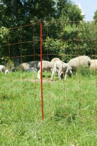 ovinet-schafhuetenetz.jpg