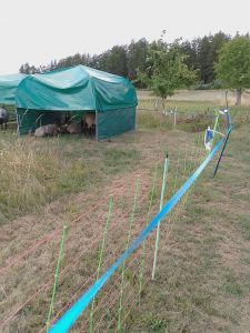 signalband-zur-wildtierabwehr.jpg