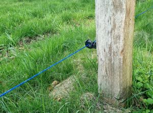 weidezaunlitze-blue-strong-1.jpg