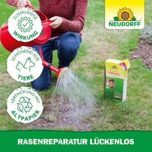 rasenreparatur-mischung-lueckenlos-1.jpg