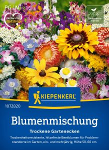 Blumenmischung für trockene Gartenecken