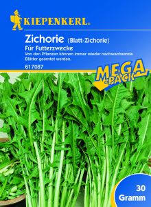 Zichorie 30 g