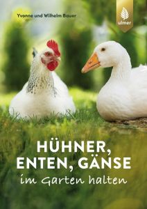 Hühner, Enten und Gänse           