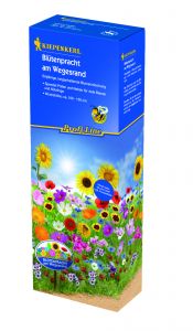 Blütenpracht am Wegesrand