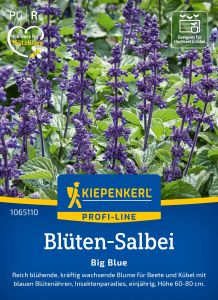 salbeisaatgut-salvia-big-blue.jpg