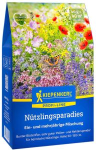 blumenmischung-nuetzlingsparadies-2.jpg