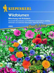 Wildblumen Mischung mit Kräutern