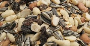 wildvogelfuttermix-3-kg-1.jpg