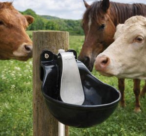 traenkebecken-aus-guss-fuer-rinder-und-pferde.jpg