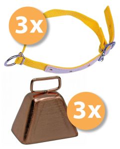 Halsriemen und Glöckchen-Set