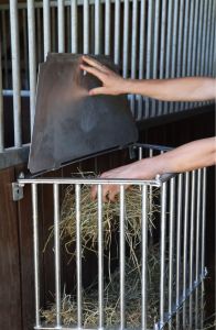 wandraufe-slowfeed-plus-3.jpg
